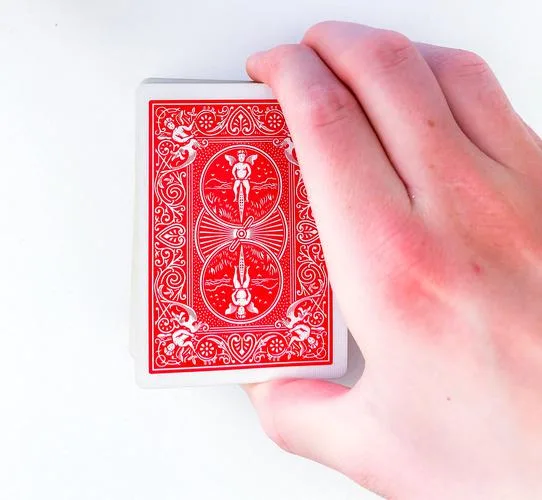 Biddle Grip